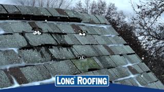 Long Roofing Winter Talking Shingle Commercial  ESB Advertising [upl. by Winwaloe]