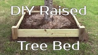 DIY Raised Tree Bed or Planter [upl. by Dray]