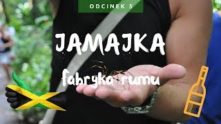 JAMAICA  Praca w fabryce na Jamajce  WYZYSK [upl. by Chaney]