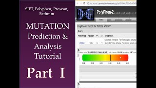 Mutational Prediction amp Analysis Tutorial PART 1 [upl. by Jennine]