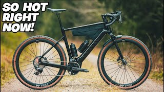 HOT NEWish Gravel EBikes for 2025 [upl. by Diamante560]