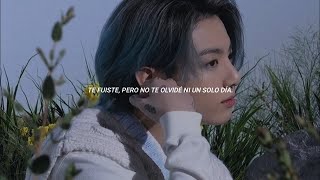 quotSpring Dayquot  BTS Sub español [upl. by Hyatt583]