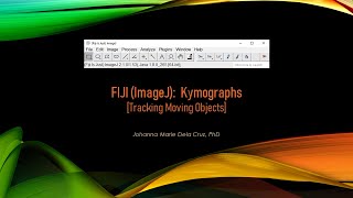 FIJI ImageJ Kymographs Tracking Moving Objects [upl. by Chyou]