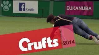 Behind the Scenes  Heelwork to Music  Crufts 2014 [upl. by Loar]