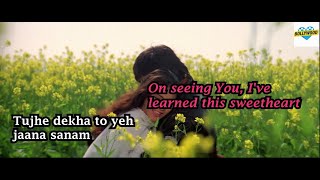 Thuje Dheka Thoye Jana Sanam  English Translation  Lyrics [upl. by Eisdnil]