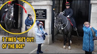 ❌ UNBELIEVABLE GUNNER SHOUTS 5 times at them then USES her horse to GET ONE OF THEM OUT OF THE BOX [upl. by Naujek]