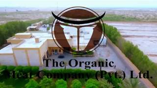 The Organic Meat Company [upl. by Norling]