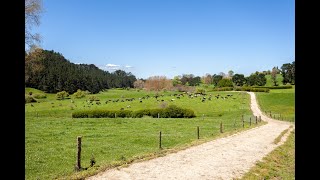 192 Taotaoroa Road Karapiro [upl. by Kohcztiy]