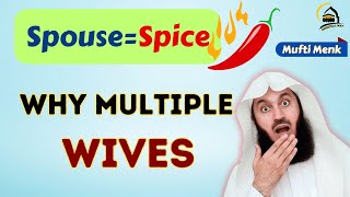 Polygamy in the Modern World Why Everyone Want Multiple Wives  Mufti Menk  Spiritual Way [upl. by Avelin]