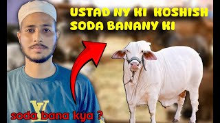 Ustad Ny Ki Bargaining Soda Banany Ky Liye 🙂  Soda Bana Kya   Northern Bypass Mandi ❤️2k24 [upl. by Gettings891]