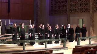 Hold Me Rock Me by Brian Tate  Milwaukee Choral Artists [upl. by Nahtanoy436]