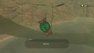 Korok seeds  Tarrey Town  Akkala Tower 47  Zelda BOTW [upl. by Mixam]