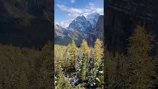 Fairview Mountain in Lake Louise  Why This Hike is So Special [upl. by Refeinnej882]