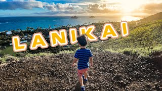 夏威夷必打卡Hiking路线Pillbox at Lanikai [upl. by Yenor]