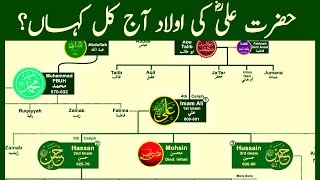 Family Tree of Hazrat Ali  The Most Influential Muslim of All Time  Part 01  Nasheed calmislamicmusic [upl. by Atilemrac]