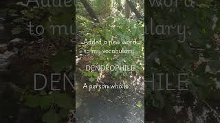 Learning a Cool New Word Are You a Dendrophile shorts vocabulary whatsappstatus [upl. by Ellary917]