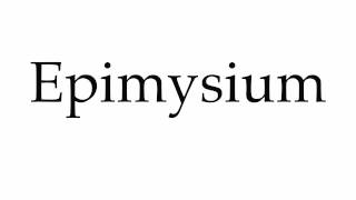 How to Pronounce Epimysium [upl. by Aisauqal]