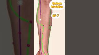 The Spleen Channel Acupuncture Points [upl. by Araiet554]