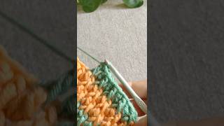 Simple and Cute TwoColor Crochet Alpine Stitch Baby Hat Tutorial [upl. by Joappa]