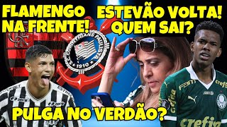 ESTEVÃO VOLTA  PULGA NO VERDÃO  PALMEIRAS EM DÉFICIT  FLAMENGO E ATLÉTICOMG LARGAM NA FRENTE [upl. by Anaizit]