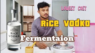 How to make lowest cost rice vodka your own [upl. by Annaira356]