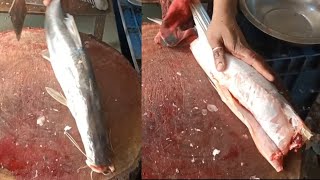 1 Kante Ki Fish Cutting  Singhara Fish Cutting Skills  Bone Less Cutting  The Amazing Fisher [upl. by Aiduan476]