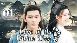 MUTLISUB【 Love of the Divine Tree仙台风云】 01 💋傲娇王爷不近女色，直到遇上美貌的郡主，傲娇王爷一时爽，谁知追妻路慢慢，做我的女人，是唯一的选择💐赵露思黄宥明 [upl. by Brunella]