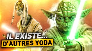 Il existe dautres YODA dans STAR WARS [upl. by Alaine]