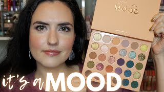 NEW ColourPop ITS A MOOD Mega Palette  Swatches Comparisons Tutorial  Review [upl. by Anilahs]