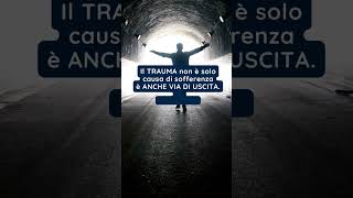 La Saggezza del Trauma  Dr Gabor Matè [upl. by Auqined]