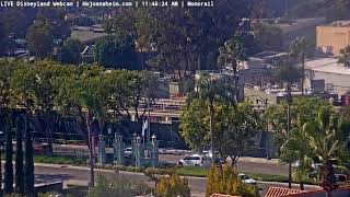 Mattercam 10272024 0416  LIVE DISNEYLAND Webcam from Howard Johnson Hotel Anaheim [upl. by Sirraj]