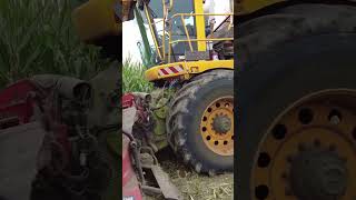 Silage machine improved by leading experts reaper modern agriculture cornsilage shorts [upl. by Dafna]