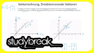 Vektorrechnung Dreidimensionale Vektoren  Wirtschaftsmathematik [upl. by Kimball]