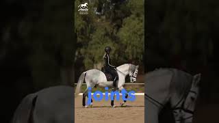 How to Have Steady Hands in Sitting Trot [upl. by Alexandr609]