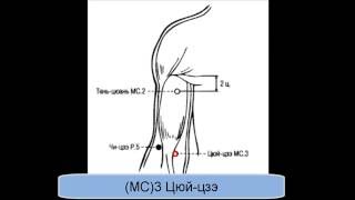 MC3 Цюйцзэ [upl. by Dat]