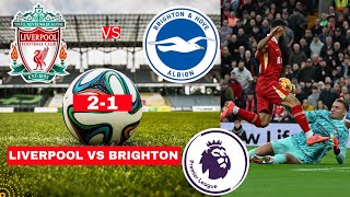 Liverpool vs Brighton 21 Live Stream Premier League Football EPL Match Score 2024 Highlights Vivo [upl. by Divd]