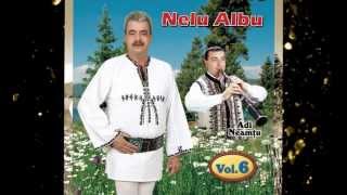 Nelu Albu ❤️ Miorita de pe munte ❗️ [upl. by Arahsat]