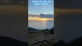 Top of Koko Crater trail hawaii travel dulichthegioi [upl. by Dredi664]