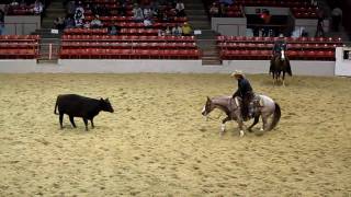 Houston Rodeo Professional Cutting Horse Competition [upl. by Puiia]