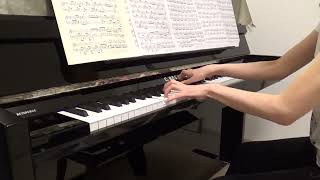 BeethovenPiano Sonata No17Tempest3rdPractice14 [upl. by Erna49]