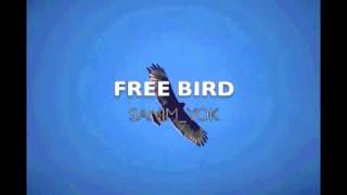 SANIMYOK  FREE BIRD Official Audio [upl. by Aicirtap]