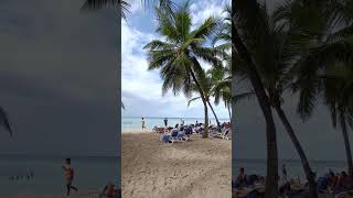 Viva Dominicus beach by Wyndham Bayahibe shorts shortvideo youtubeshorts dominicanrepublic 🇩🇴 [upl. by Nosirrag]