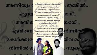 Hridayam oru veenayayyesudasmalayalam songlyrics yesudas [upl. by Lezlie]