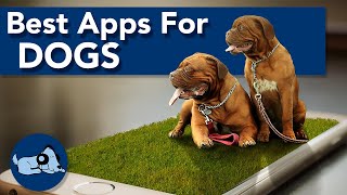 The 6 Best Apps for Dogs [upl. by Nihs499]