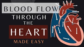 Blood Flow Through the Heart in 1 Minute Animation  Cardiac Physiology bloodflow shorts [upl. by Tnilk]