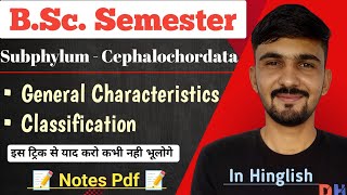 Cephalochordata Classification amp Characteristics Cephalochordata  Bsc Semester  By Dadhich Sir [upl. by Adnilra866]