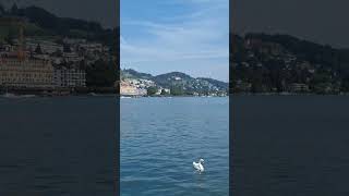 Luzern im Sommer 2024 [upl. by Daniela929]