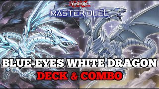 BlueEyes White Dragon  Deck amp Combo Guide  YuGiOh Master Duel [upl. by Hamforrd631]