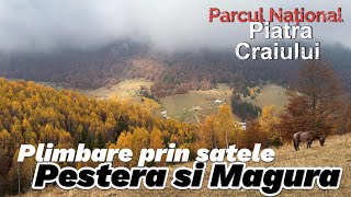 Peisaje de toamna prin satele Pestera si Magura Brasov Piatra Craiului octombrie 2024 calatorii [upl. by Spracklen4]