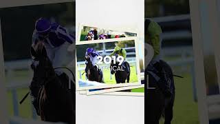 Just seven days remain until British Champions Day  Shorts Ascot horseracing [upl. by Enirolf]